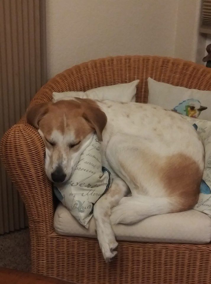 buddy2.jpg